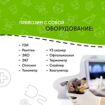 Ветеринарная служба ВетСкорая24 в Колпино фото 2