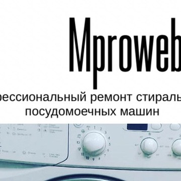 Профессиональный ремонт стиральных и посудомоечных машин фото 1