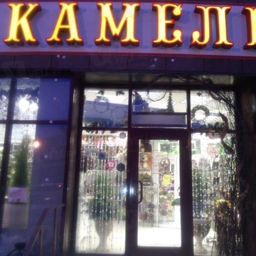 Сеть цветочных салонов Камелия на Московском проспекте фото 1