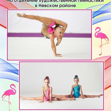 Спортивный клуб синхронного плавания ФЛАМИНГО фото 2