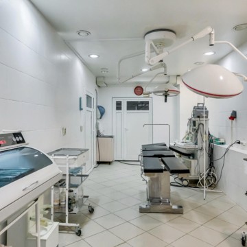 Медицинский центр Гиппократ 21 век на 13-й Линии фото 1