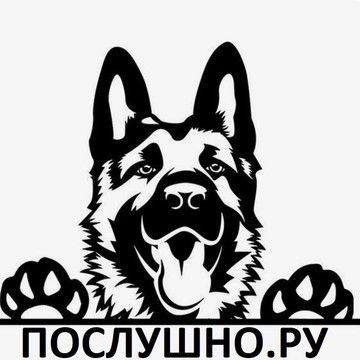 Школа дрессировки «Послушно.ру» фото 1
