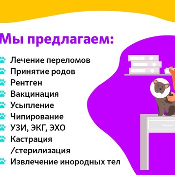 Ветаклиник в Дмитрове фото 2