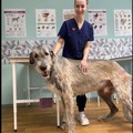 Фотография специалиста Мурадова Лада Алексеевна