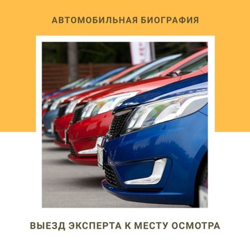 Выездная служба Автоэксперт Car Crime Biography фото 3