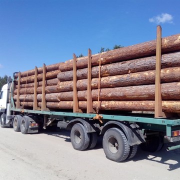 Компания Angara Les Export фото 2