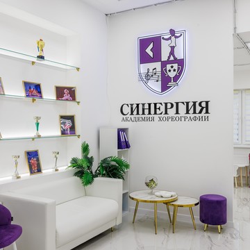 Академия хореографии СИНЕРГИЯ в Говорово фото 3
