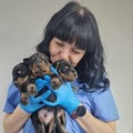 Фотография специалиста Наумова Алла Михайловна