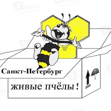 ООО Пчеловодное дело фото 1