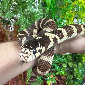 Зоомагазин ExoLife фото 3