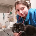 Фотография специалиста Хохлова Катерина Алексеевна