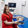 Фотография специалиста Полковенкова Анастасия Владимировна