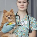Фотография специалиста Бойко Анна Владимировна