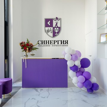 Академия хореографии СИНЕРГИЯ на Олонецкой улице фото 1