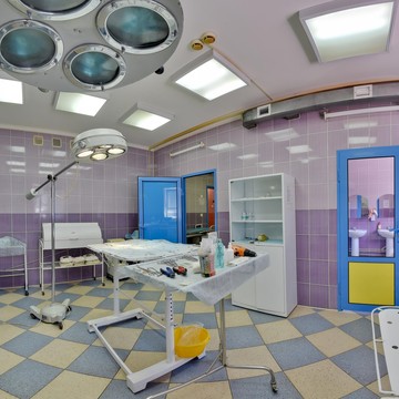 Многопрофильный центр ветеринарной медицины 21 век фото 3