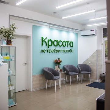 Студия эстетики тела Без повода фото 2