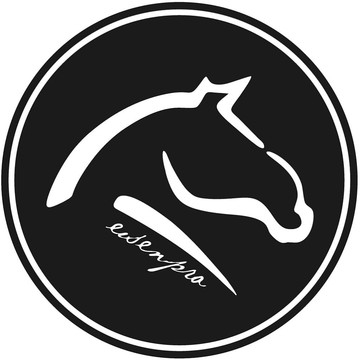 Студия Тюнинга Eisen.pro фото 2