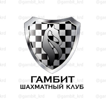 Школа шахмат Гамбит в Карасунском округе фото 1