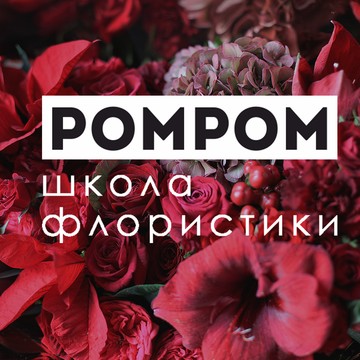 Школа РомРом фото 1