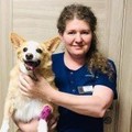 Фотография специалиста Антонова Анна Владимировна