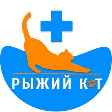 Ветеринарная клиника Рыжий Кот фото 2