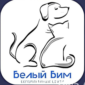 Клиника Белый Бим на метро Балтийская фото 1