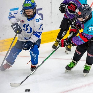 Хоккейная школа Pro Hockey фото 1