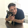 Фотография специалиста Брагин Станислав Валерьевич