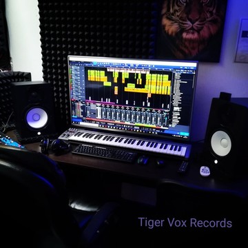 Студия звукозаписи Tiger Vox Records фото 2