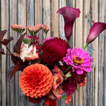 Питомник Ягодное Поле фото 1