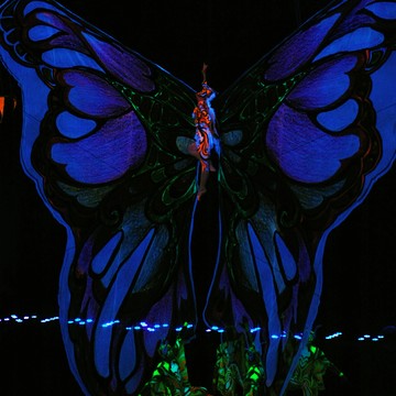Цирк Танцующих Фонтанов «Аквамарин» фото 1