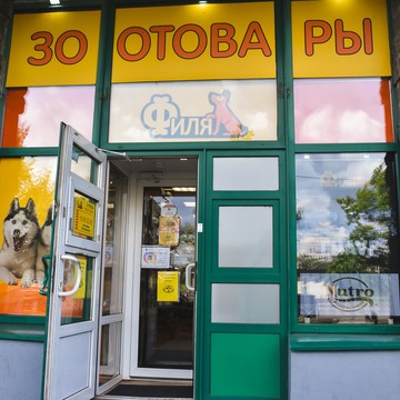 Филя на улице Просвещения фото 3