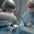 Фотография специалиста Кашина Анна Сергеевна