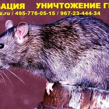 ПРОФИ-ДЕЗ фото 3