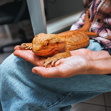 Ветеринарная клиника Инновет на улице Генерала Кузнецова фото 3