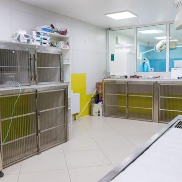 Ветеринарная клиника Свой доктор на Новомытищинском проспекте фото 2