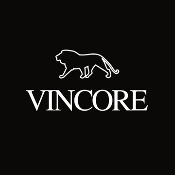 Краски о производителя VinСore фото 1