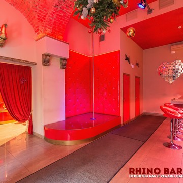 Стриптиз-клуб Rhino Bar фото 3