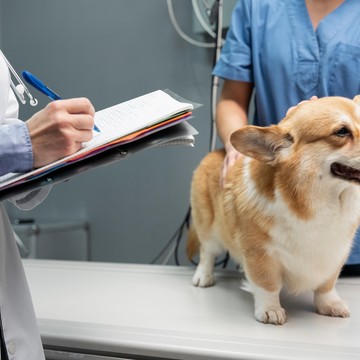 Ветеринарный центр A/isvet фото 3