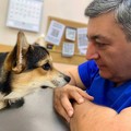 Фотография специалиста Григорян Сисак Давидович