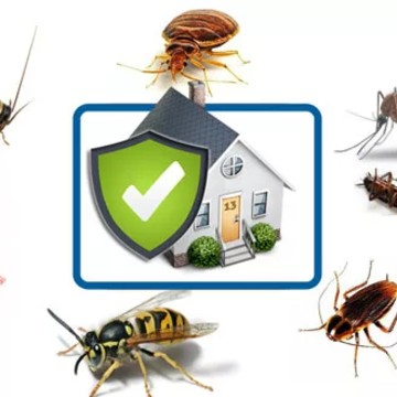 ООО «ДЕЗИС» фото 1