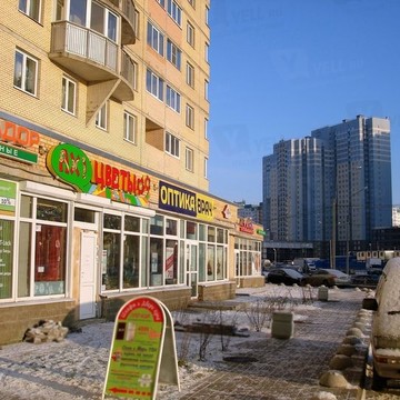 АХ! Цветы на Туристской улице фото 1