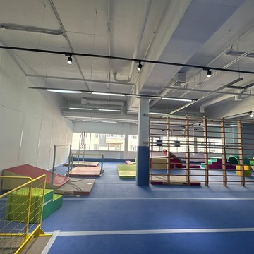 Европейский Гимнастический Центр на Красносельском шоссе фото 2