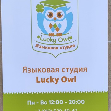 Языковая студия Lucky Owl на Мичуринском проспекте фото 2