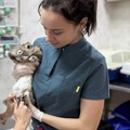Фотография специалиста Калинова Виктория Андреевна