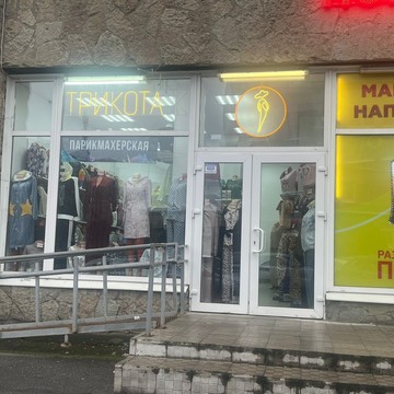 Стриж фото 1