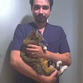 Фотография специалиста Комольцев Илья Анатольевич