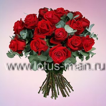 Цветы 24 (lotus-man) фото 2