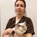Фотография специалиста Зенкова Дарья Александровна