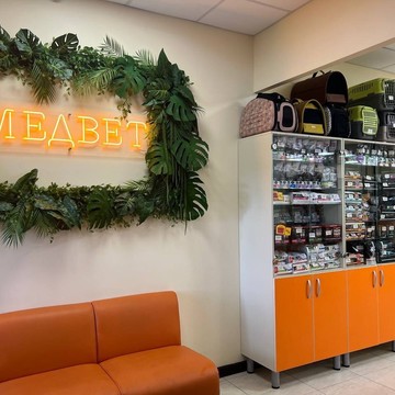 Ветеринарный центр МЕДВЕТ на улице Кирова в Домодедово фото 1